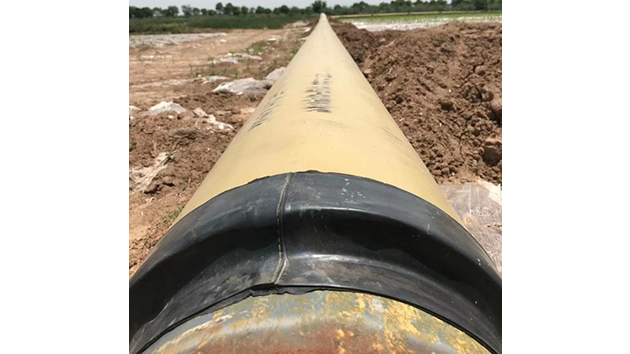 首页- F66永乐国际集团官方网站